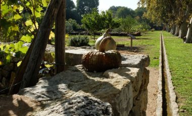 Un jardin remarquable : mur de pierre avec chenal d'irrigation en pierre