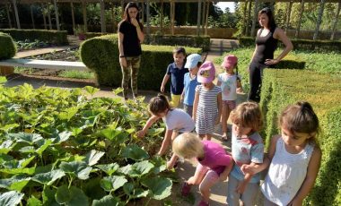Accueil de loisirs sans hébergement : enfants aux jardin de baudouvin